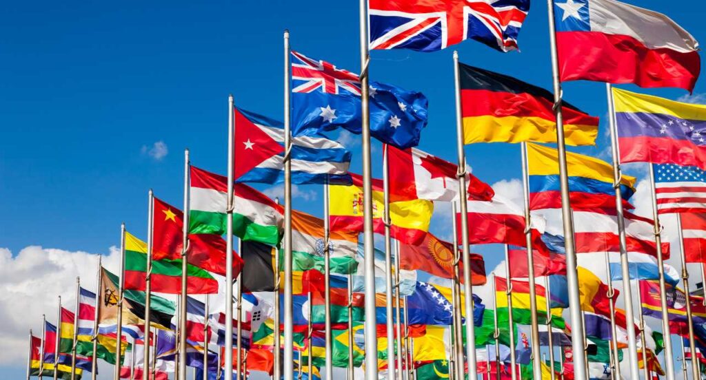 Imports International Household Moving Services